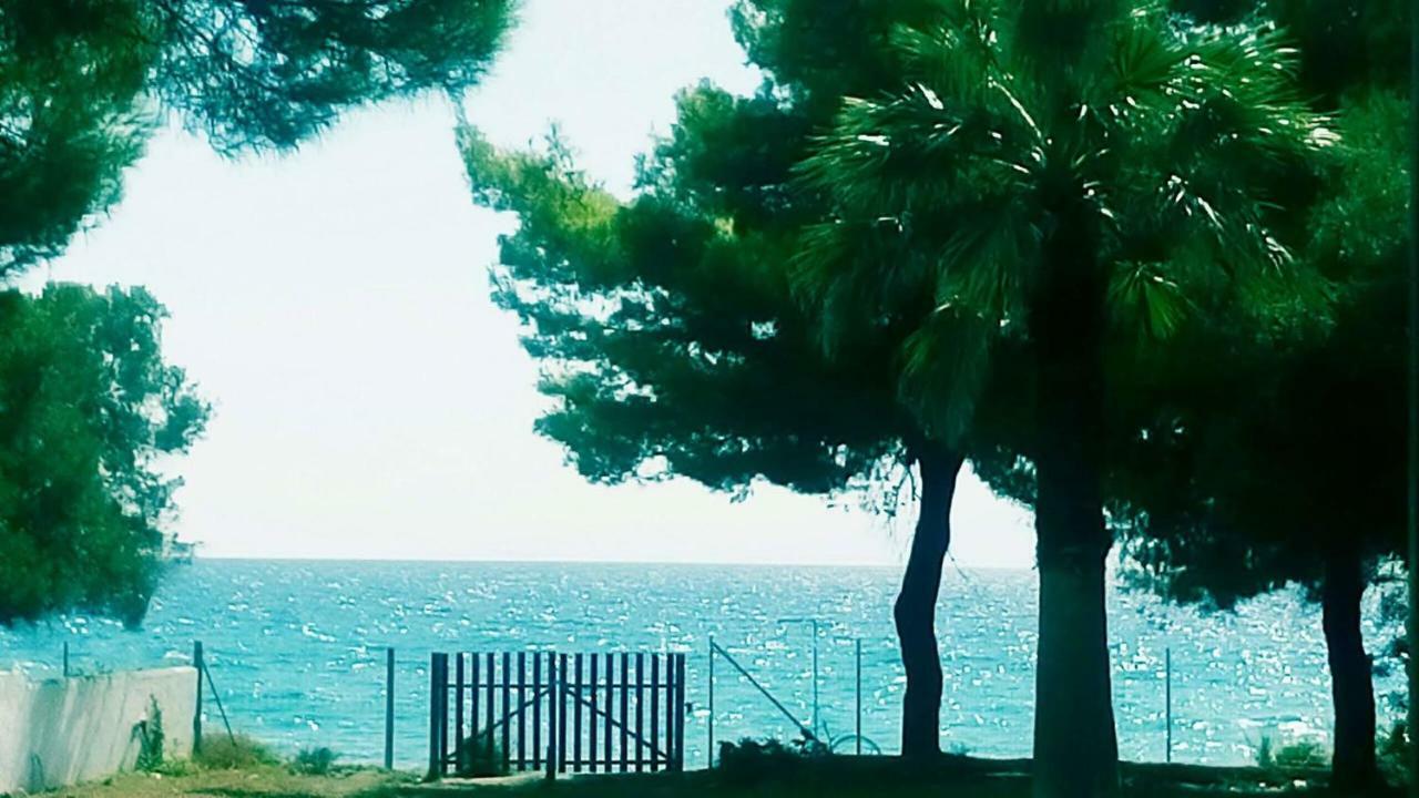 Seafront Villa Joan نيا سكيوني المظهر الخارجي الصورة