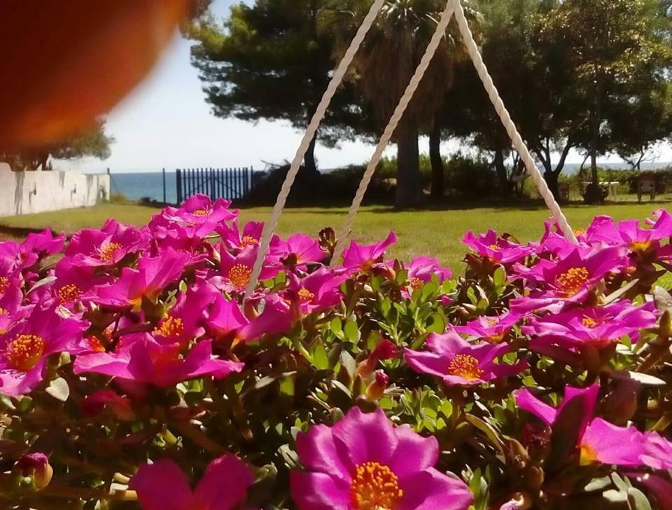 Seafront Villa Joan نيا سكيوني المظهر الخارجي الصورة